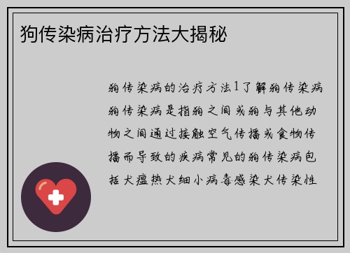 狗传染病治疗方法大揭秘